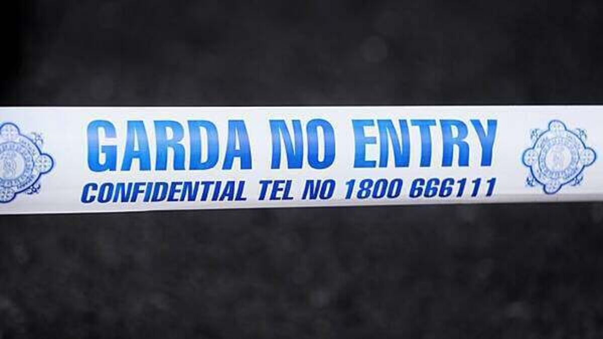 Gardaí investigating after criminal damage to headstone in Limerick