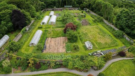 North Mayo business still without phone or internet since Storm Eowyn