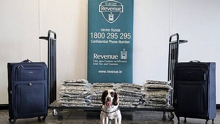 Cannabis valued at €800,000 seized at Shannon Airport