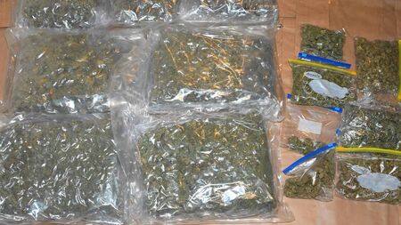 Man arrested following seizure of drugs in Sligo