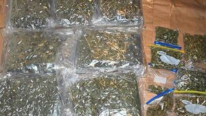 Man (40s) arrested after cannabis worth €150k seized in Sligo Man (40s) arrested after cannabis worth €150k seized in Sligo