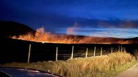 Wildfire destroys hundreds of acres in Mayo