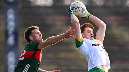 Mayo rise and stumble and rise again