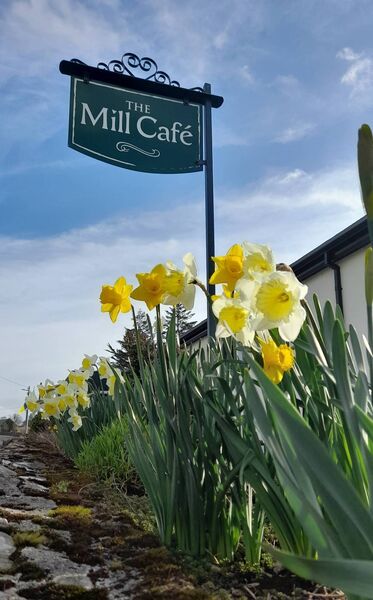 The Mill Cafe is a wonderful community-run facility that has proven to be a huge success. Picture: Pat McCarrick