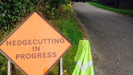 Calls for hedge-cutting season to begin earlier 
