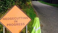 Calls for hedge-cutting season to begin earlier 