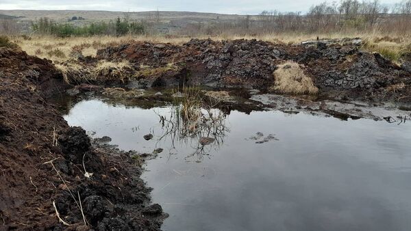 The bogs of Ireland have taken one hell of a beating during the past century. Picture: Pat McCarrick