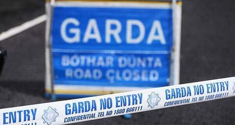 Gardaí appealing for witnesses after girl (6) dies after being struck by truck