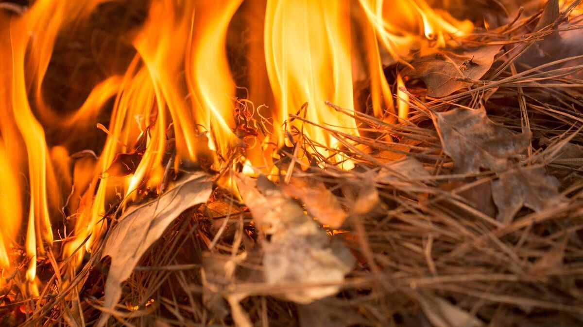 ALERT: Orange risk weather warning in effect for Mayo