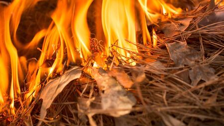 ALERT: Orange risk weather warning in effect for Mayo