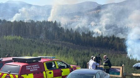 Devastating Mayo forest fire suspected of being deliberate act