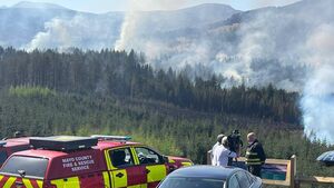 Devastating Mayo forest fire suspected of being deliberate act