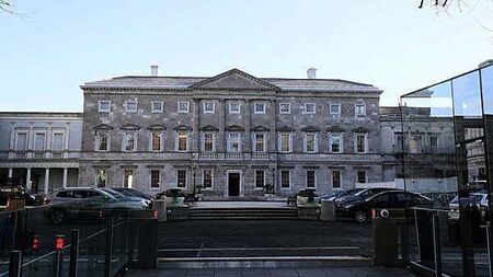 Social Democrats want to include suspended TD for committee formation