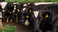 Mayo IFA to host farm succession meeting
