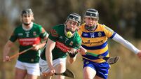 Hurlers show heart to avoid first round upset 