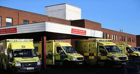 Woman (70s) injured following attack by dog in Dublin