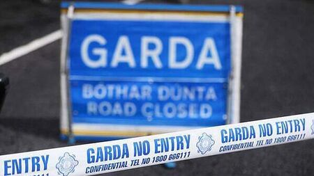 Woman (60s) dies after being struck by lorry in Mayo