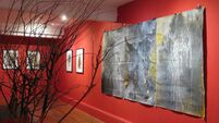 Celebrate Mayo Day at Ballina Arts Centre