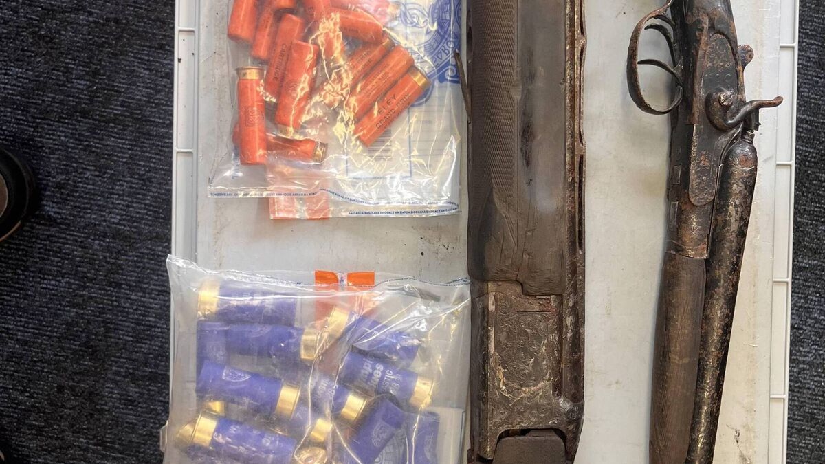 Man arrested following seizure of two firearms and ammunition in Galway