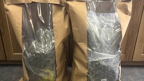Two men charged after drug seizures in Co Louth