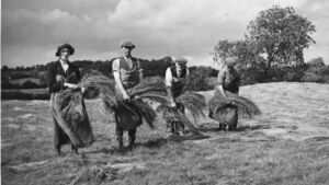Travelling labourers played a big part in rural life