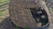€500 reward to identify act of vandalism in Mayo