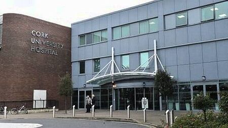 Tributes paid to girl (13) killed in motorsport race incident in Cork