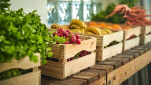 Popular Mayo farm shop to reopen following Storm Éowyn damage
