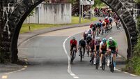 Mayo welcomes international cycling spectacle this week 