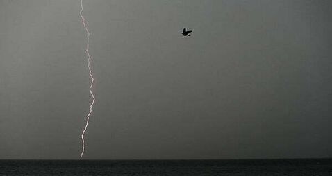 Met Éireann issues immediate thunderstorm warning for five counties