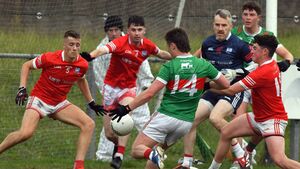 Moysiders make hard work of ‘Mullet men