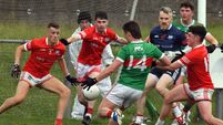 Moysiders make hard work of ‘Mullet men
