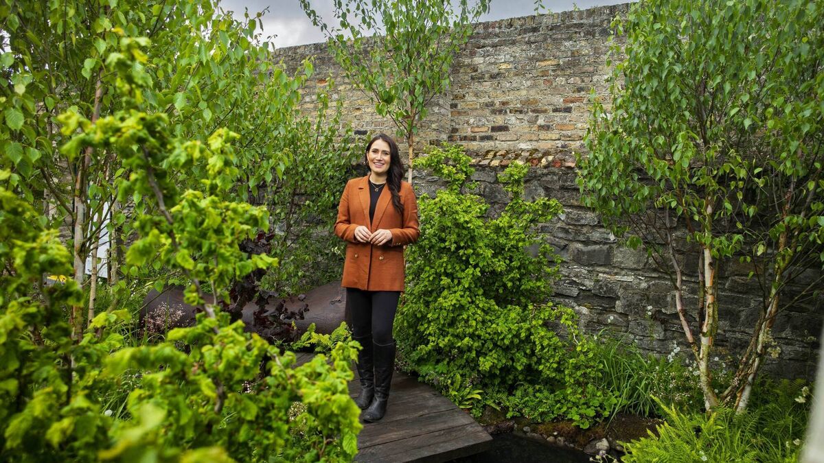Mayo native stars at Bord Bia Bloom