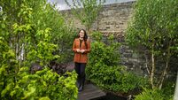Mayo native stars at Bord Bia Bloom