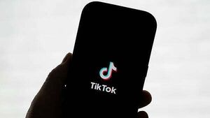 TikTok asks court to halt suspension of data transfers to China TikTok asks court to halt suspension of data transfers to China