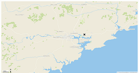 Cyclist (60s) dies after collision with van in Cork