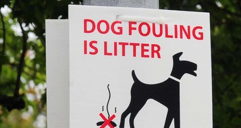Dog fouling is repeat problem outside Mayo school