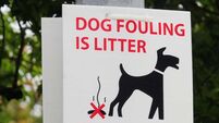 Dog fouling is repeat problem outside Mayo school
