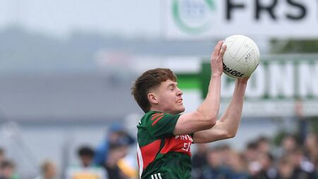 Heaney hails smartness and confidence of minor marvels