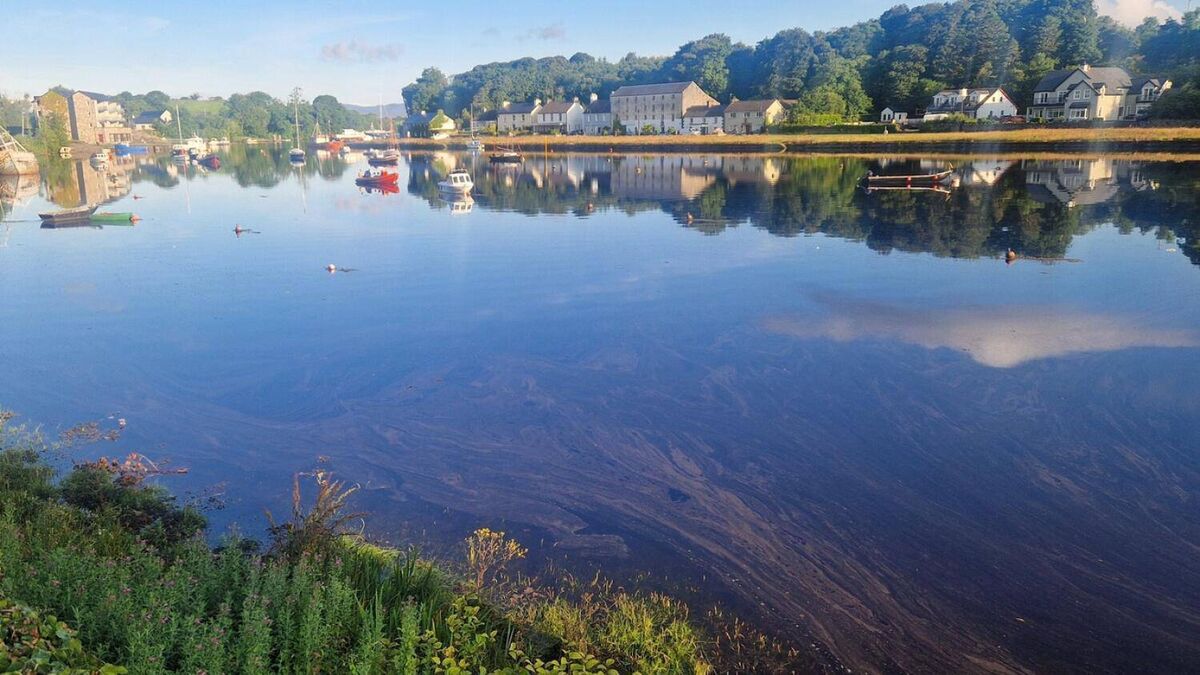 Councillor prepared to march on Uisce Éireann HQ over sewage issue