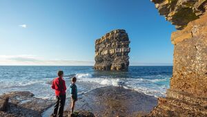 Birdwatchers to visit Downpatrick Head