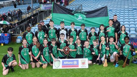 Robesiders Knocked down by Devine display