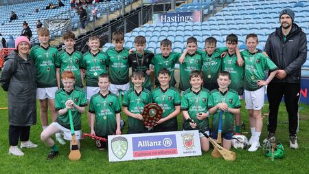 Gaelscoil's five-star display secures county hurling crown