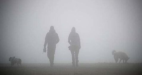 Status yellow fog warning in place for most counties