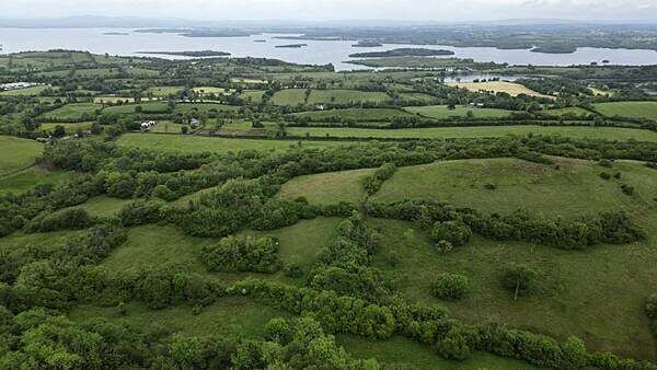 Living example of traditional farmland safeguarded for nature
