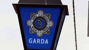 Two men (40s) arrested after burglary incident in Co Wicklow