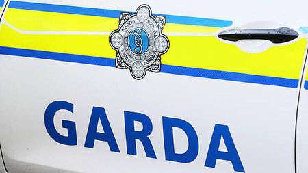 Officers seize cannabis worth almost €3m in Limerick