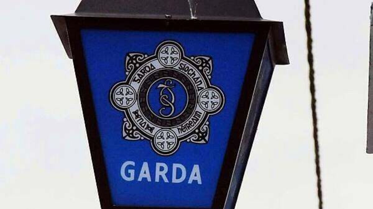 €2m of cannabis seized from business in Dublin