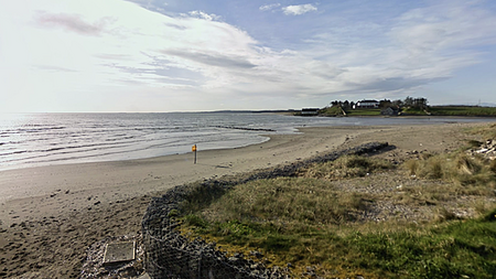 Teenager who died while swimming in Co Meath named locally