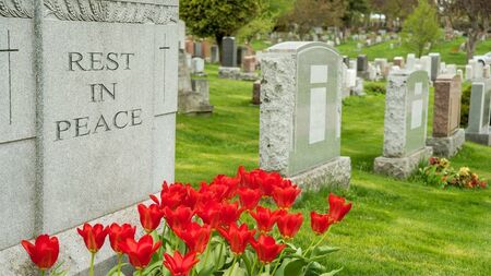 Cemetery needs urgent financial support